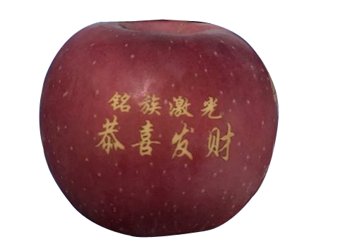 苹果激光打标机打标结果图